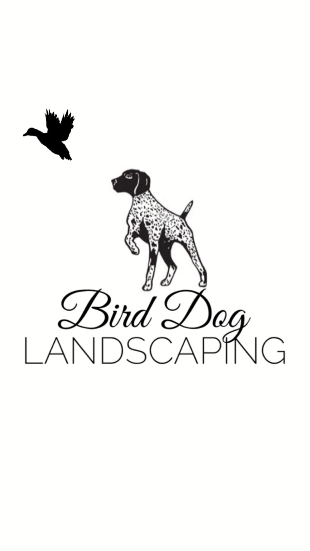 Bird Dog Landscaping