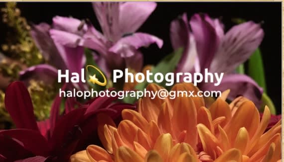 Halo Photography