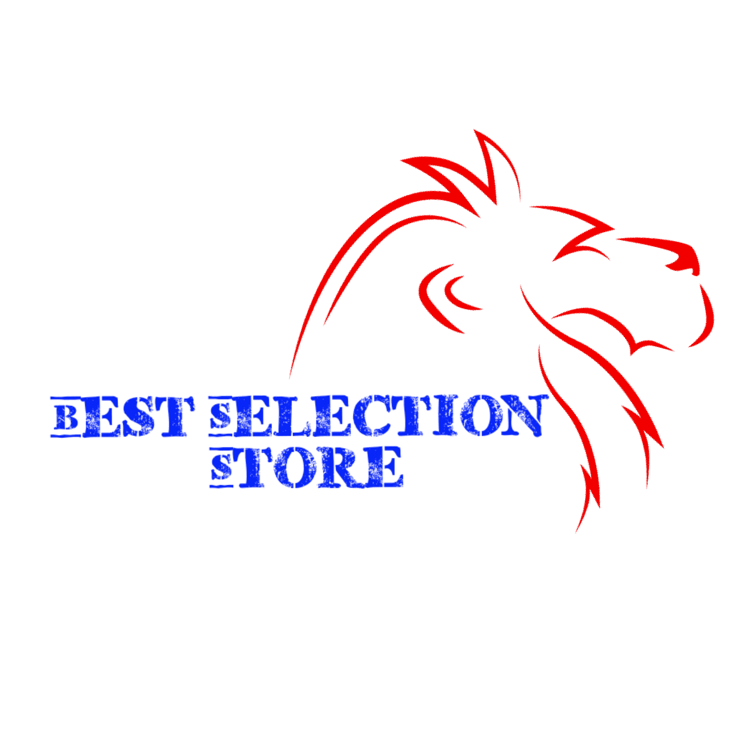 Best Selection Store