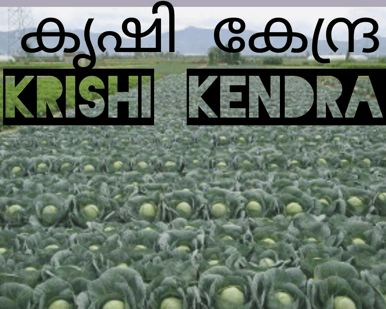 Krishi Kendra