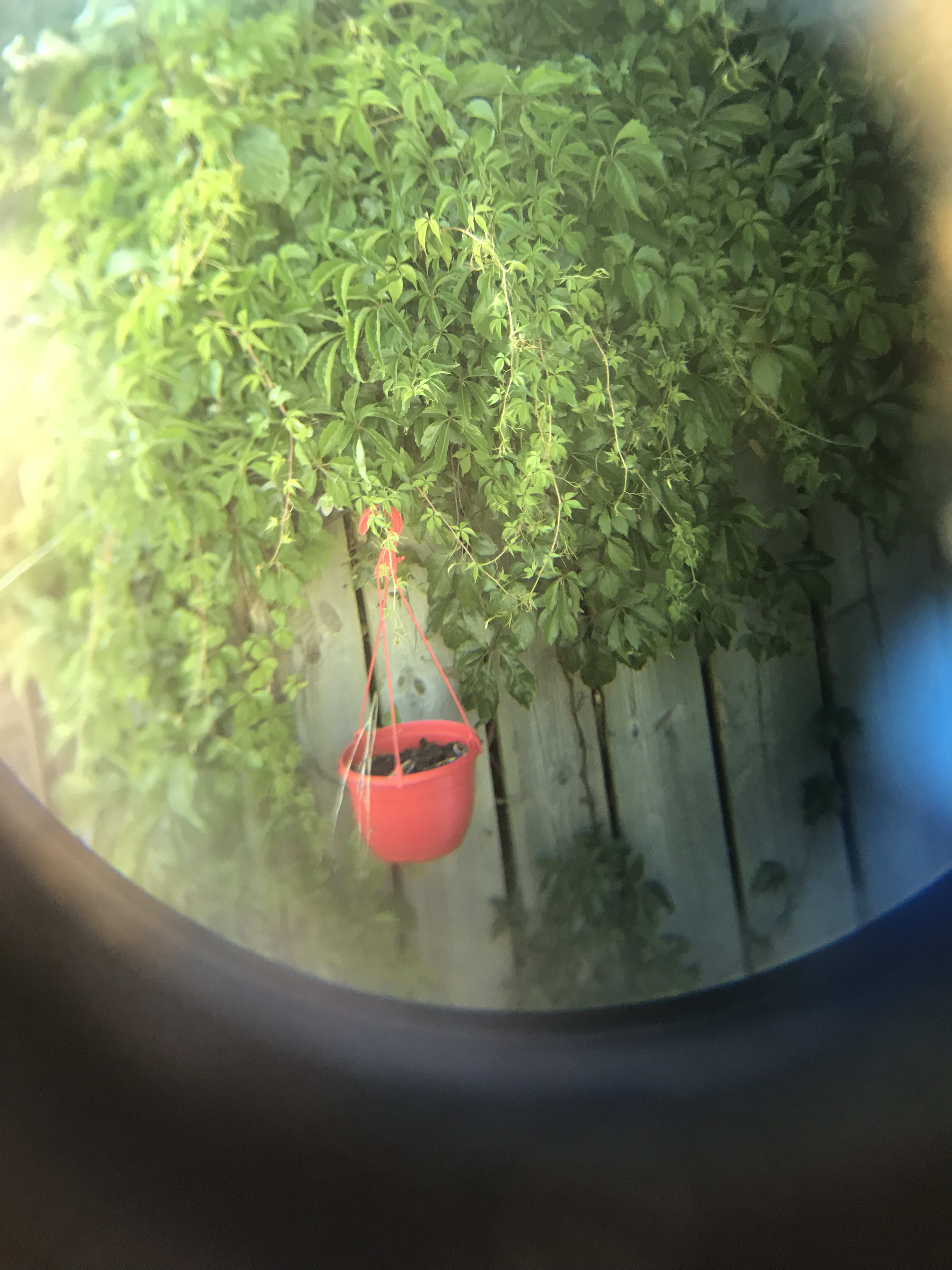 Josh's Photography