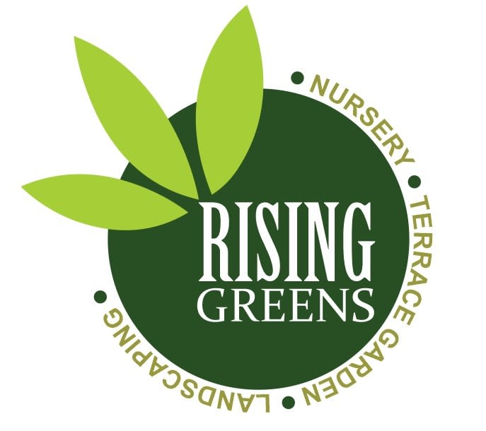 Rising Greens