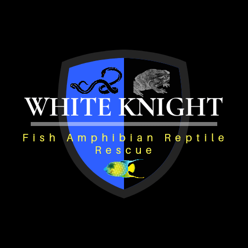 White Knight Fish Amphibian Reptile Rescue