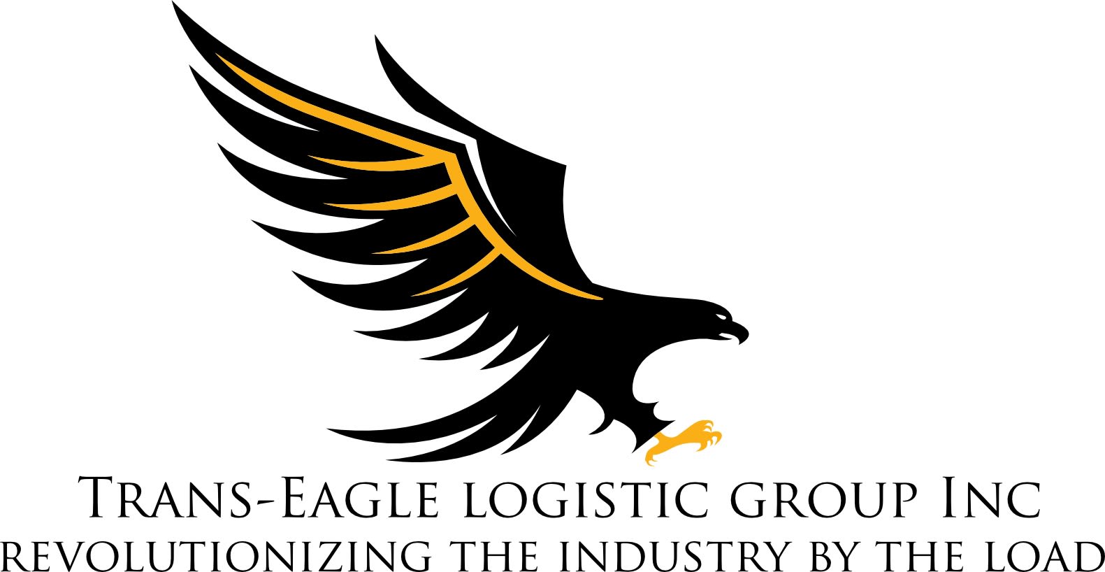 Trans-Eagle Logistic Group,  Inc.