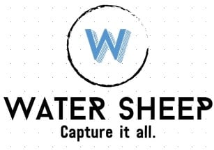 Water Sheep
