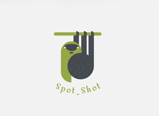 SpotShot