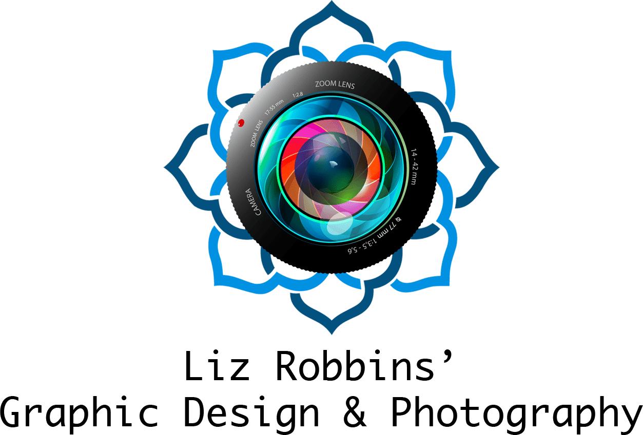 Liz Robbins’ Portfolio