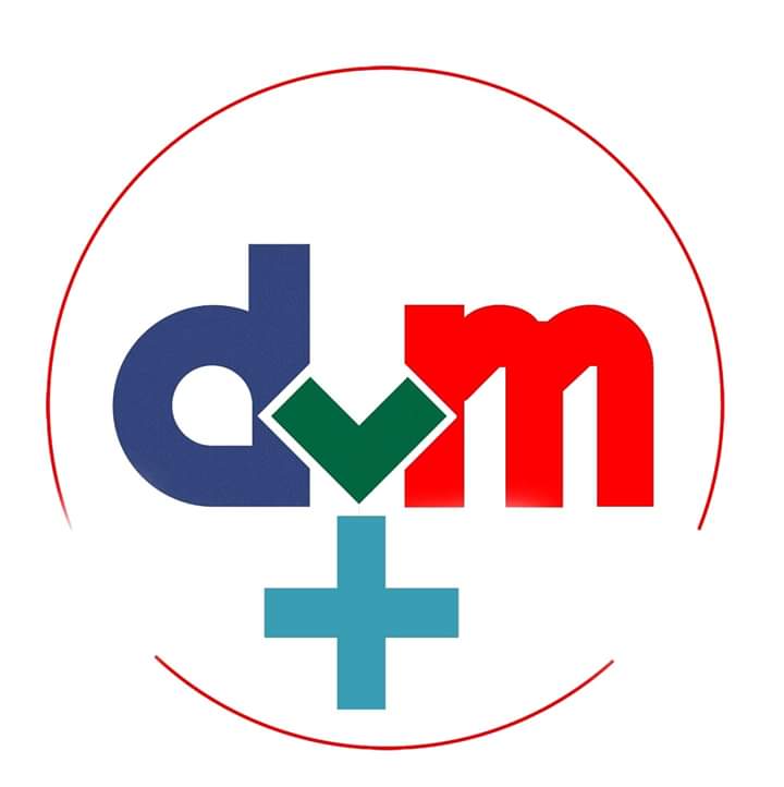 Dvm Plus Enterprises