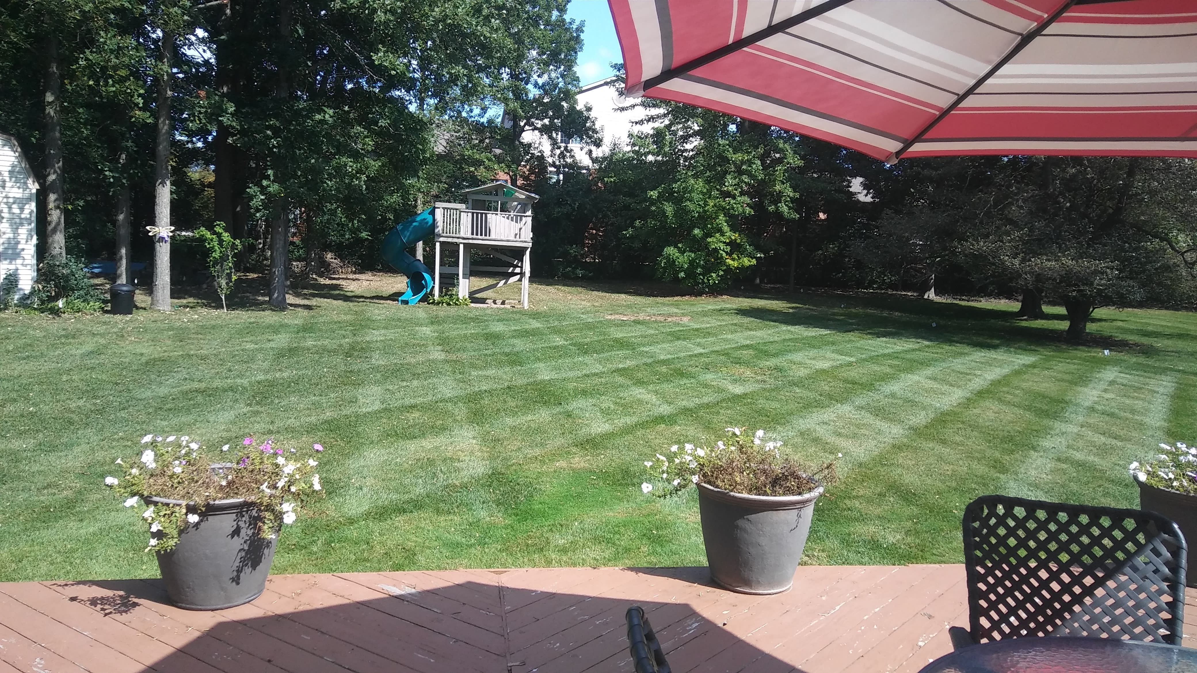 Landscaper JJ's Lawn Ninjas