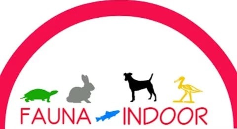 Fauna Indoor