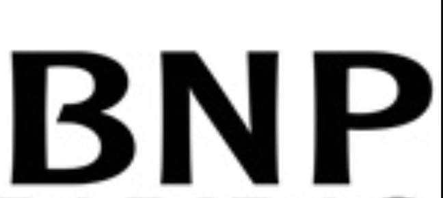 Business Network Practitioners LLC Inc