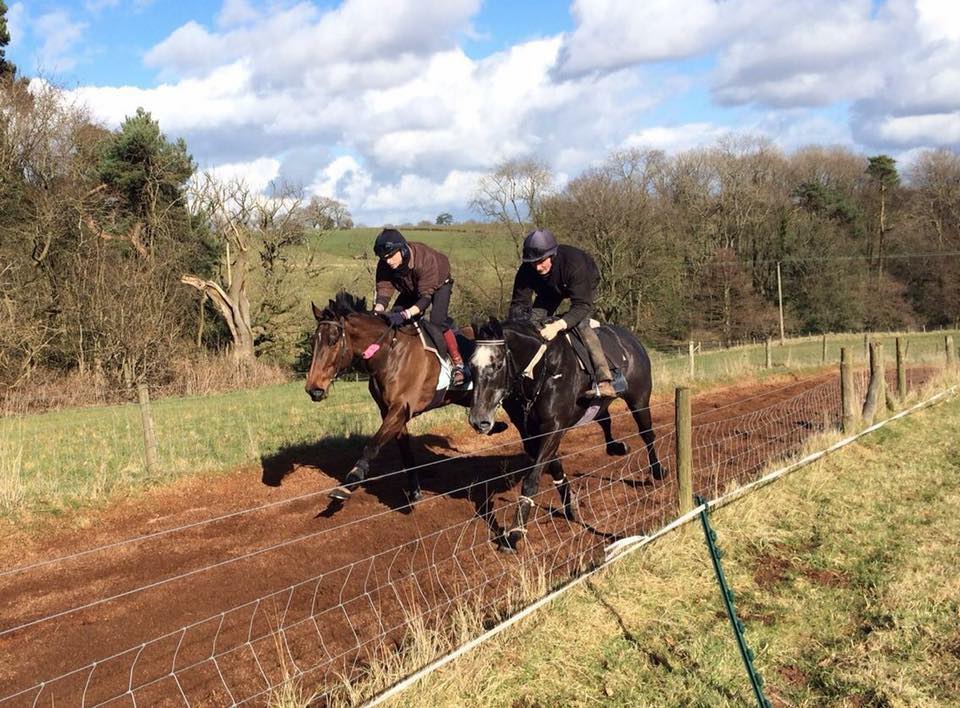 Horse Riding in Bromyard Red Hill Farm Gallops Bromyard Horse Riding