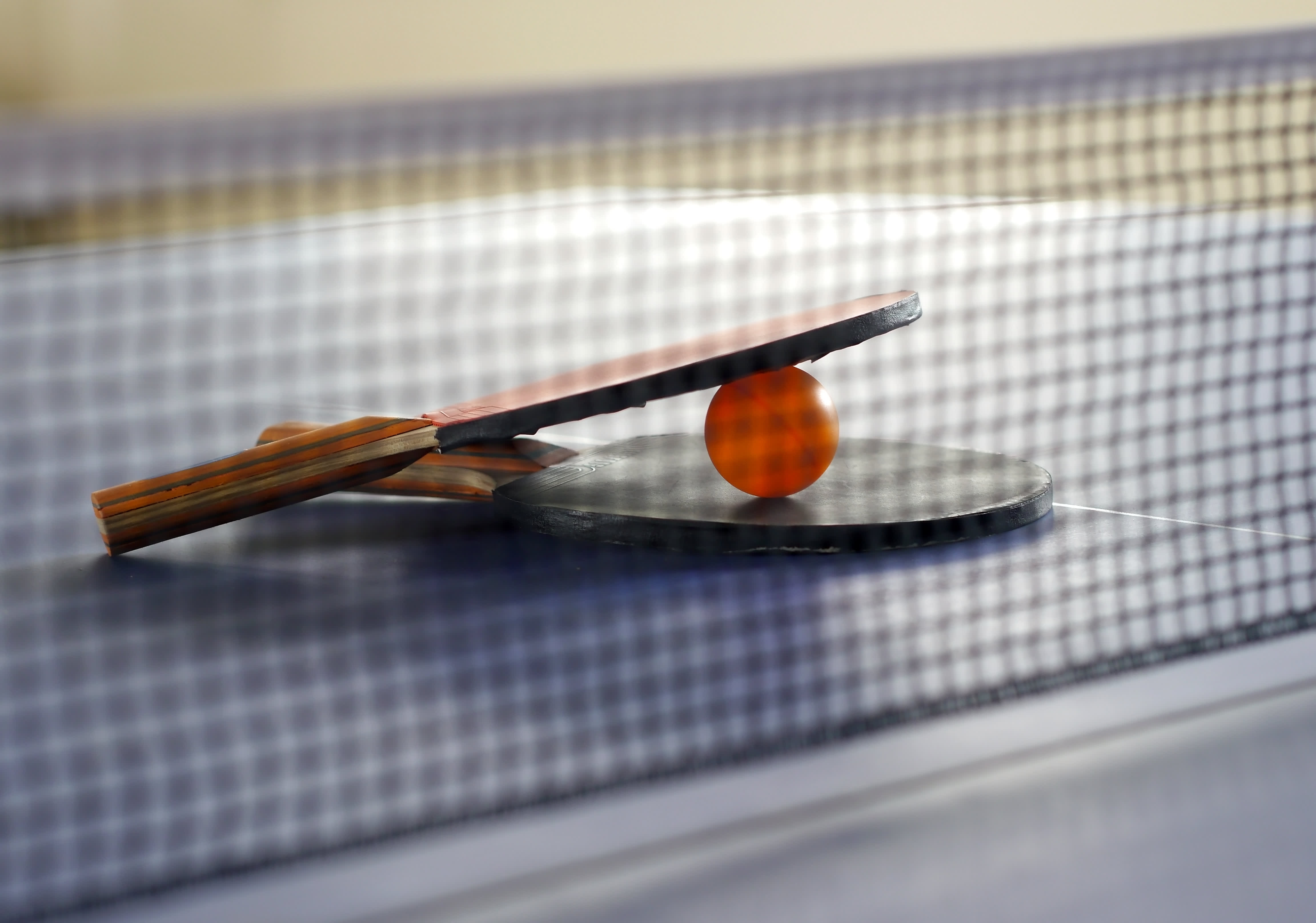 Sports Sports Equipment Rental Service Sector 64