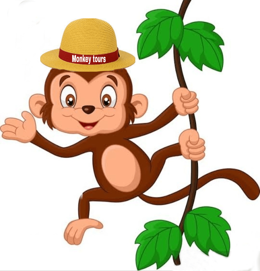 Monkey Tours