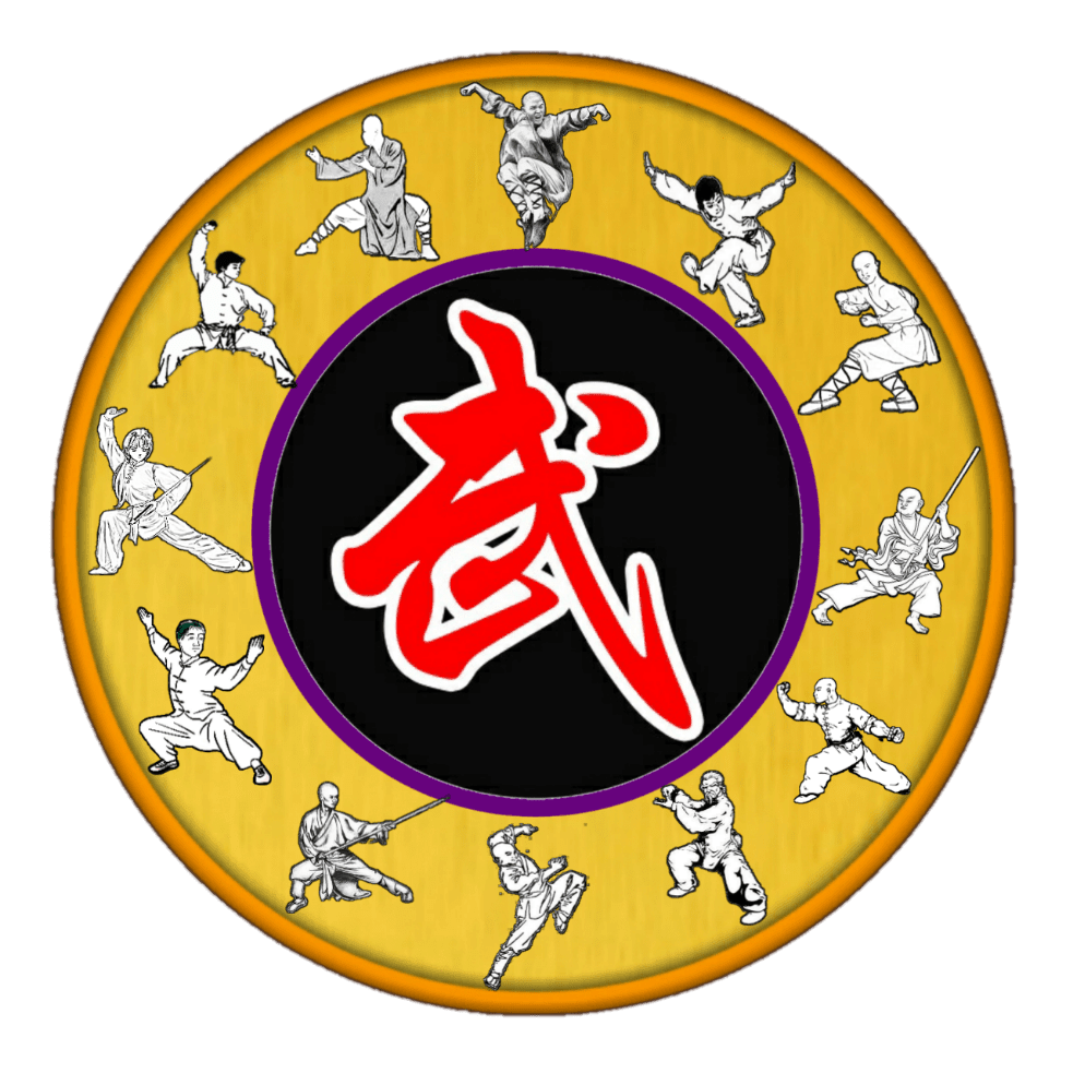 Shaolin Wushu Qigong Kungfu