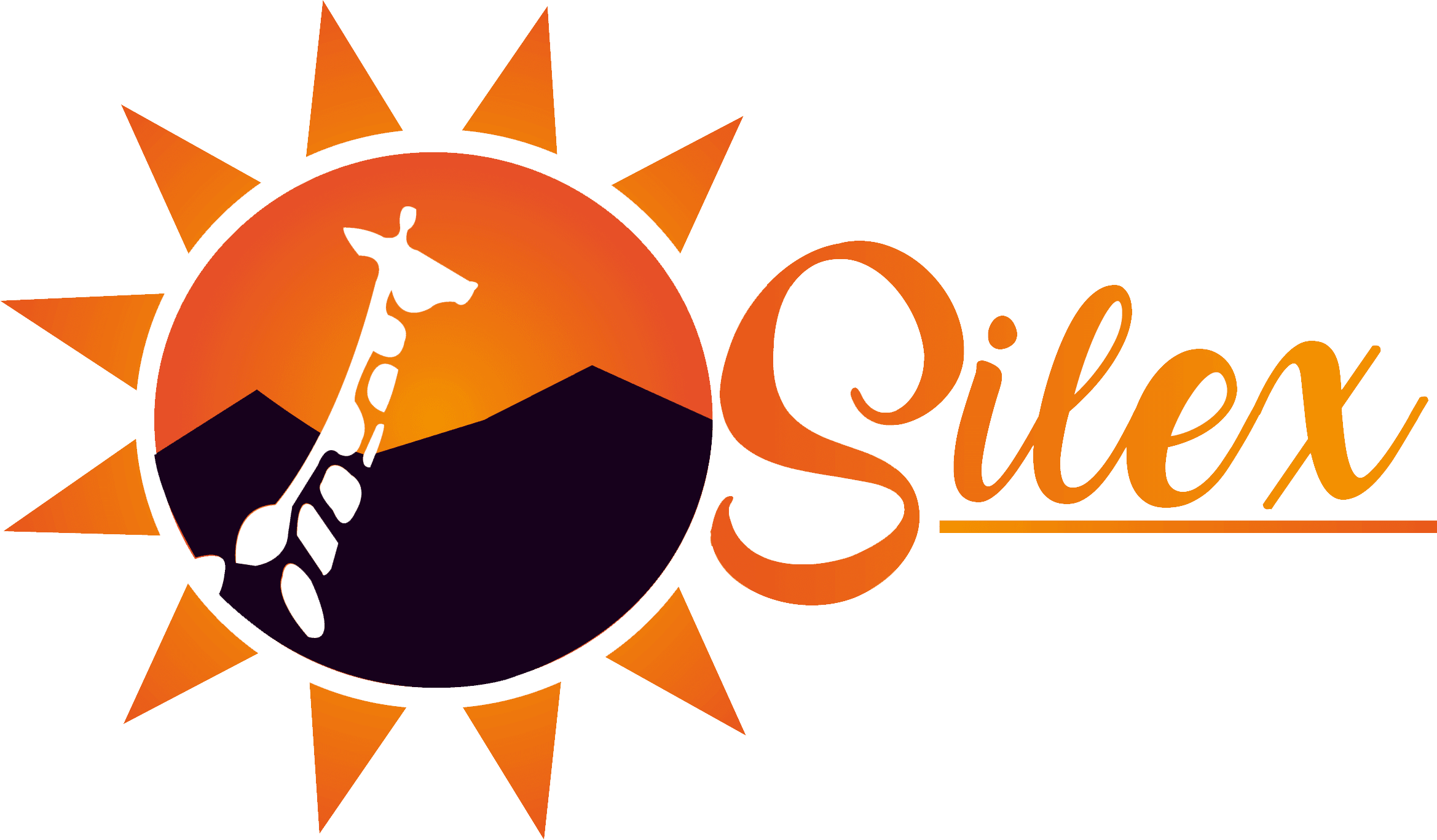 SILEX CALENTADORES SOLARES