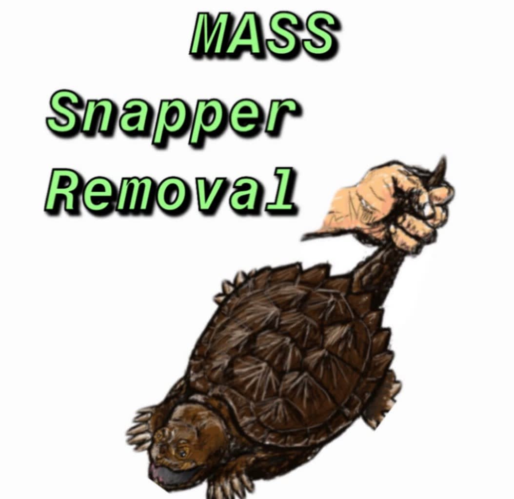Mass Snapper Removal