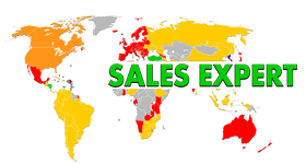 Sales expert