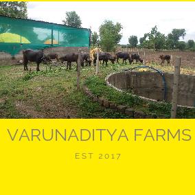 Varunaditya Farms