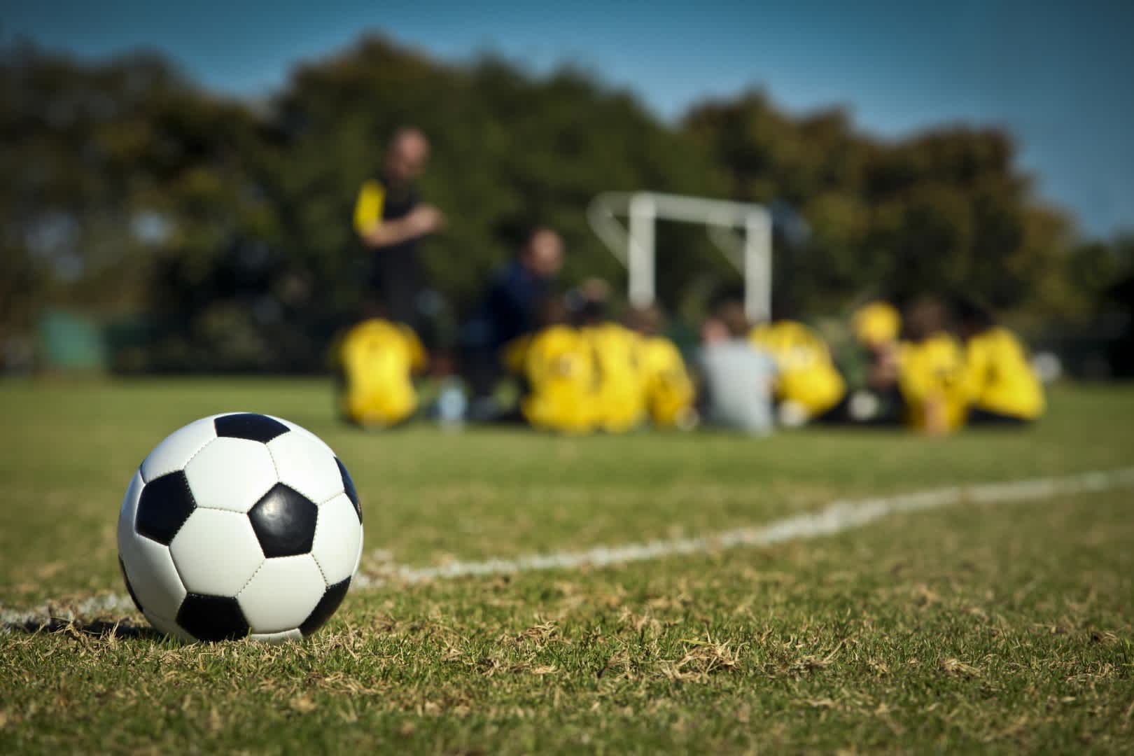 todo futbol y actualidad television
