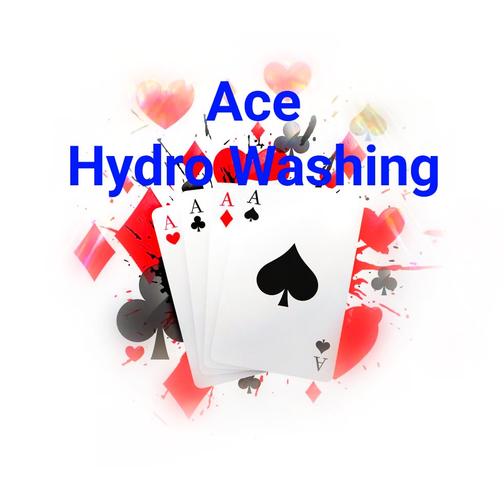 Ace Hydro Washing