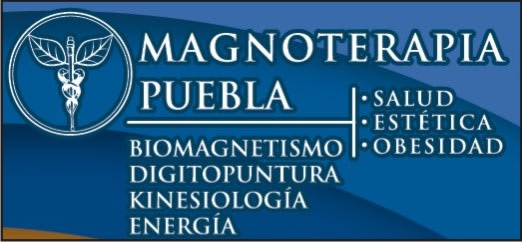 Magneto Terapia Puebla