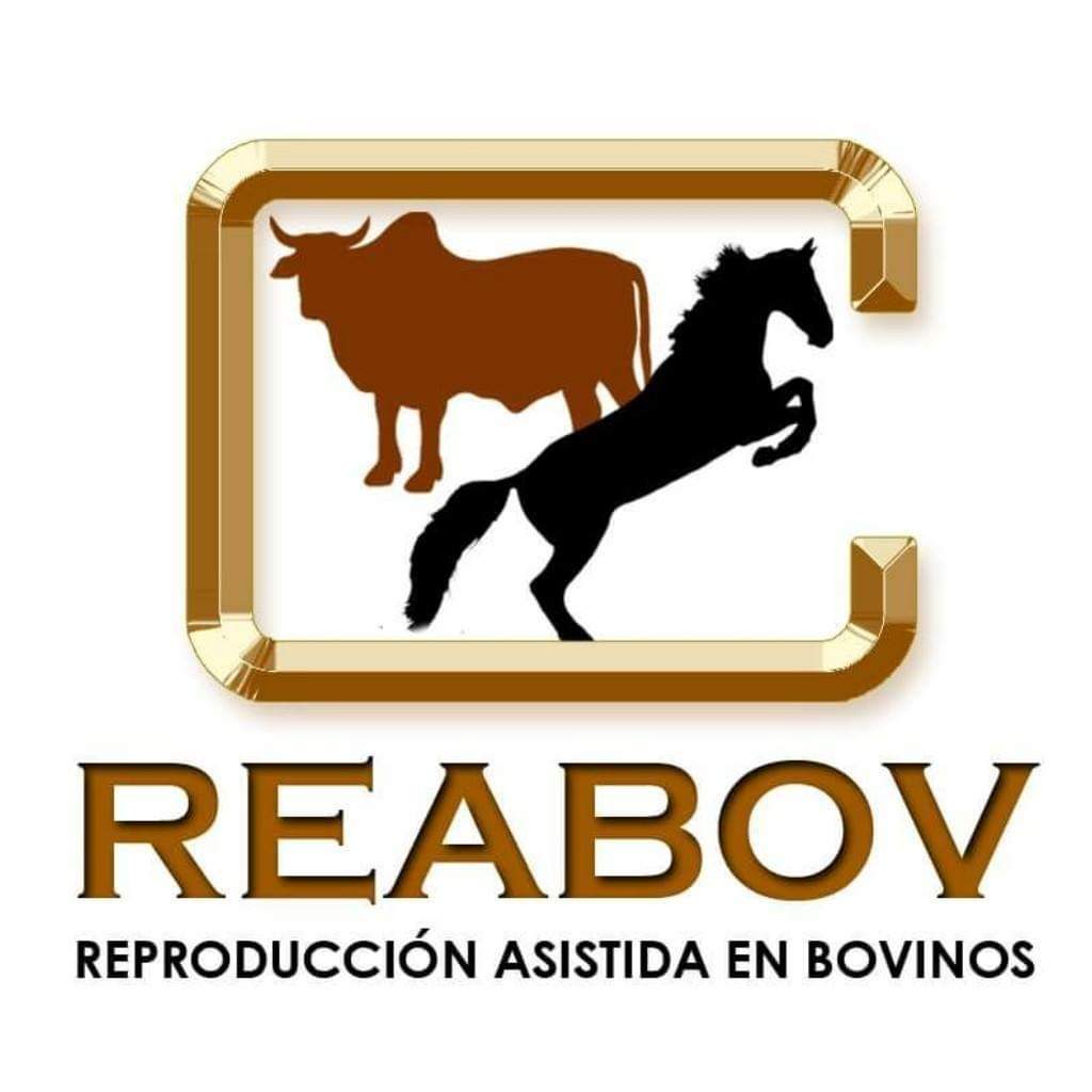 Reabov