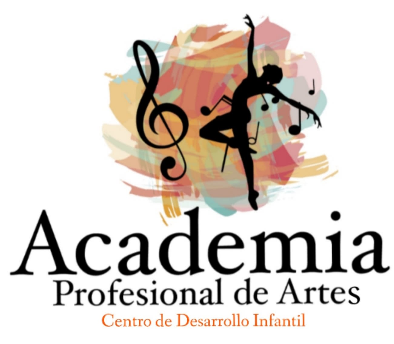 Academia Profesional De Artes