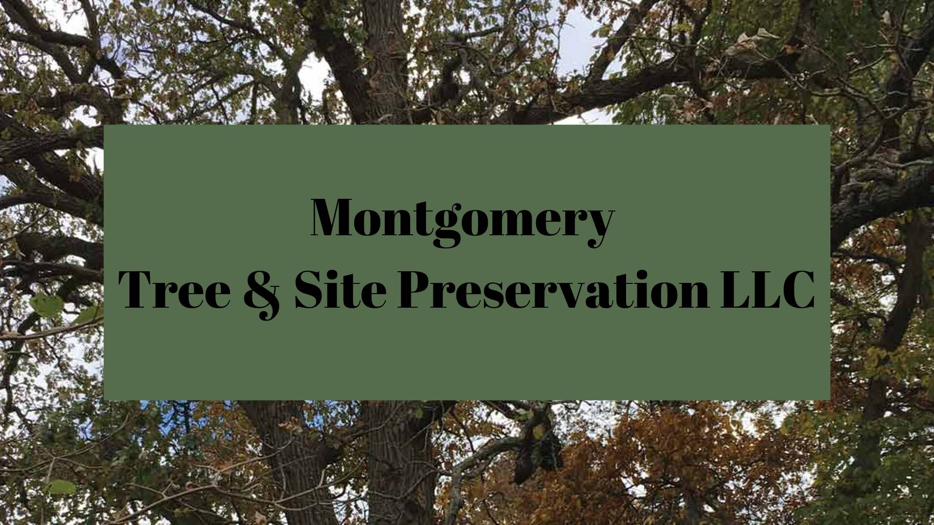 Montgomery Tree & Site Preservation