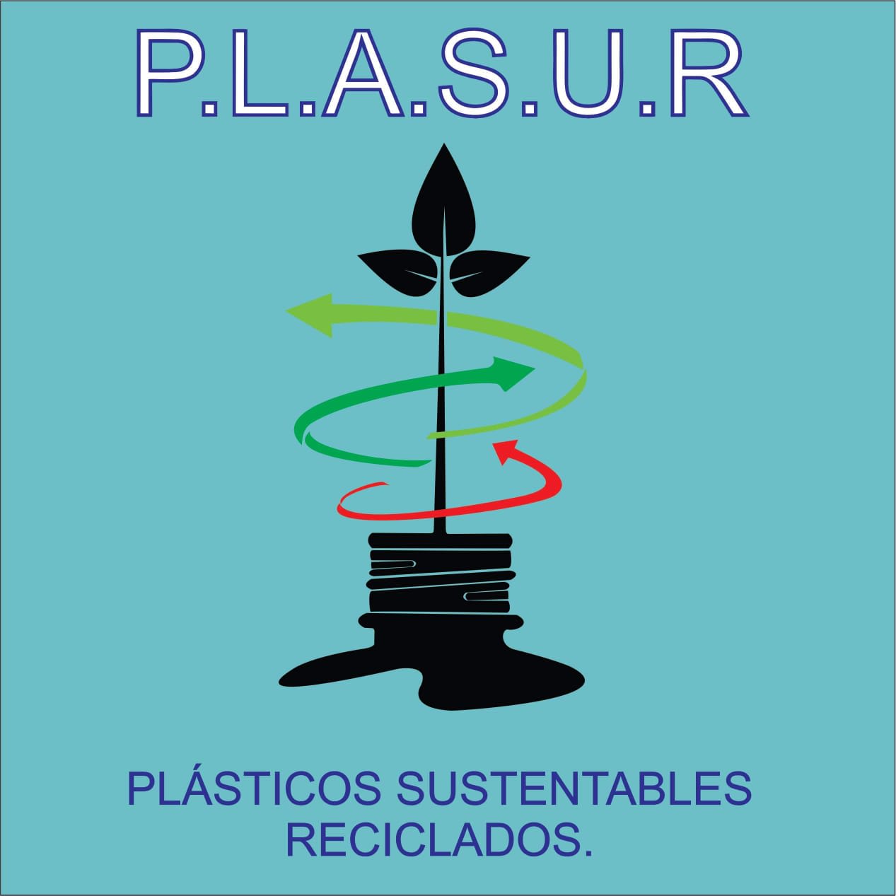 P.L.A.S.U.R. Plasticos Sustentable Reciclados
