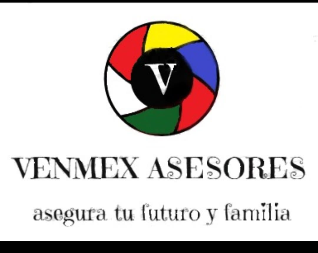 Venmex Asesores