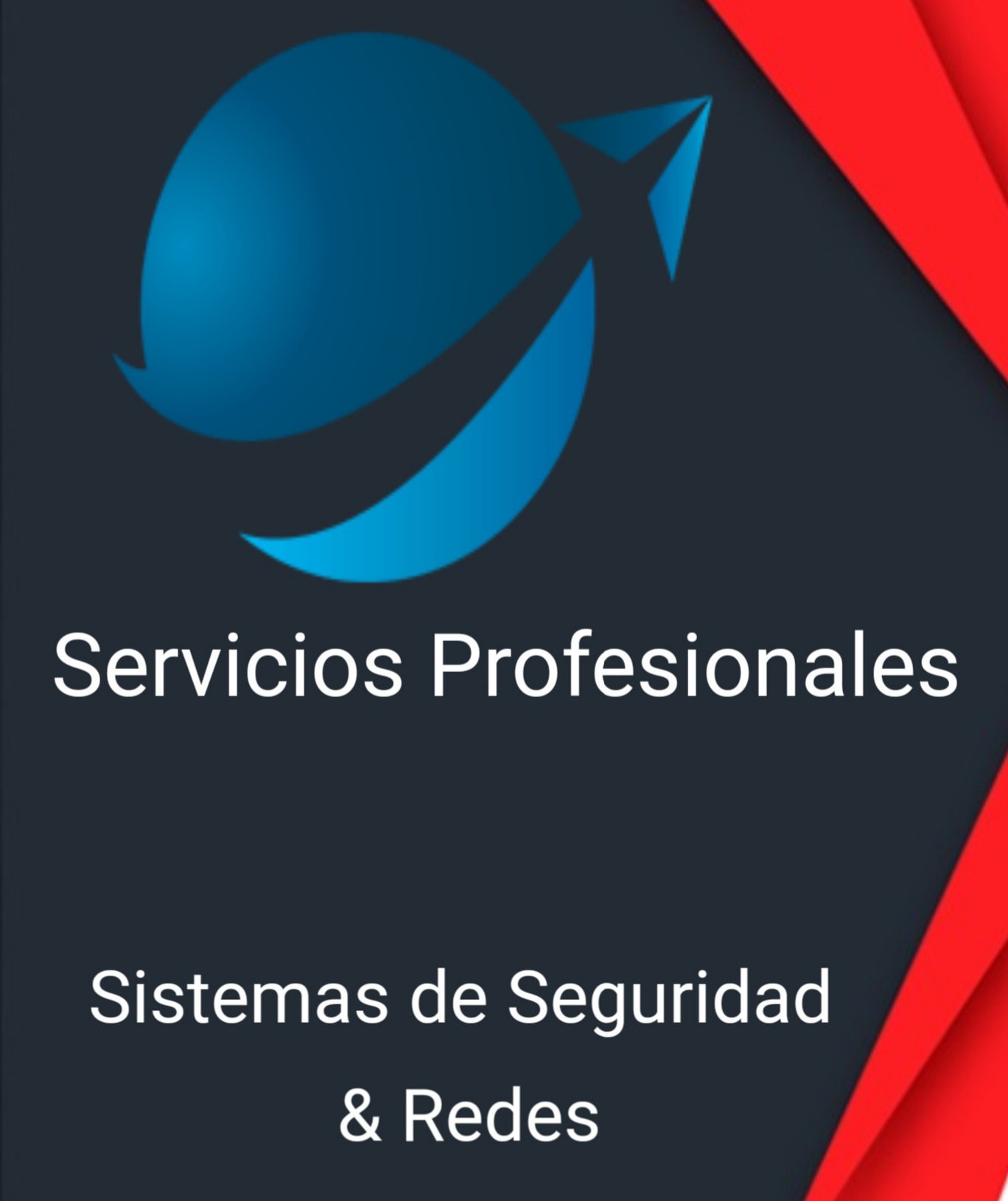 Servicios Profesionales Sistemas de seguridad & Redes