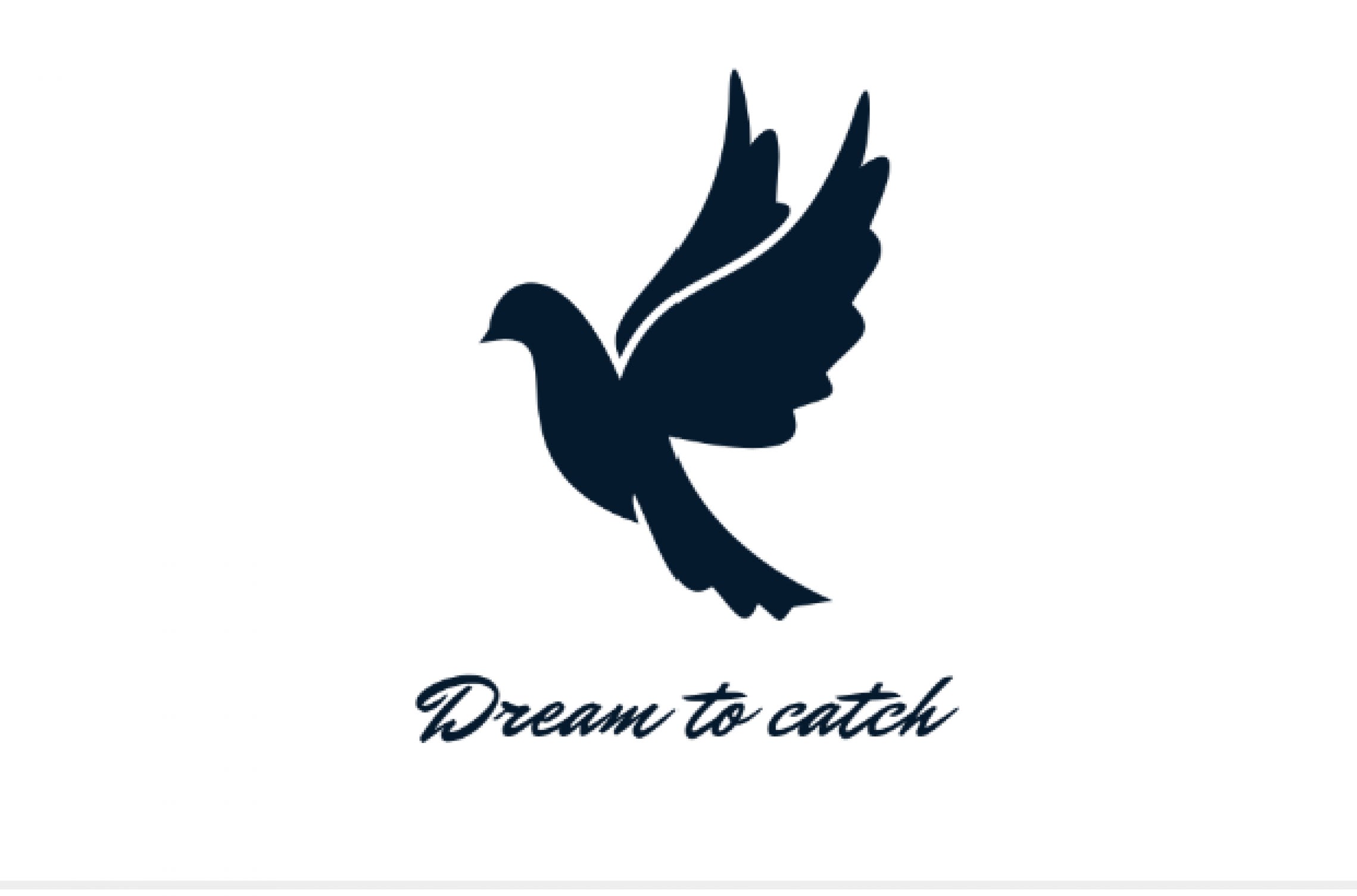 Dream To Catch
