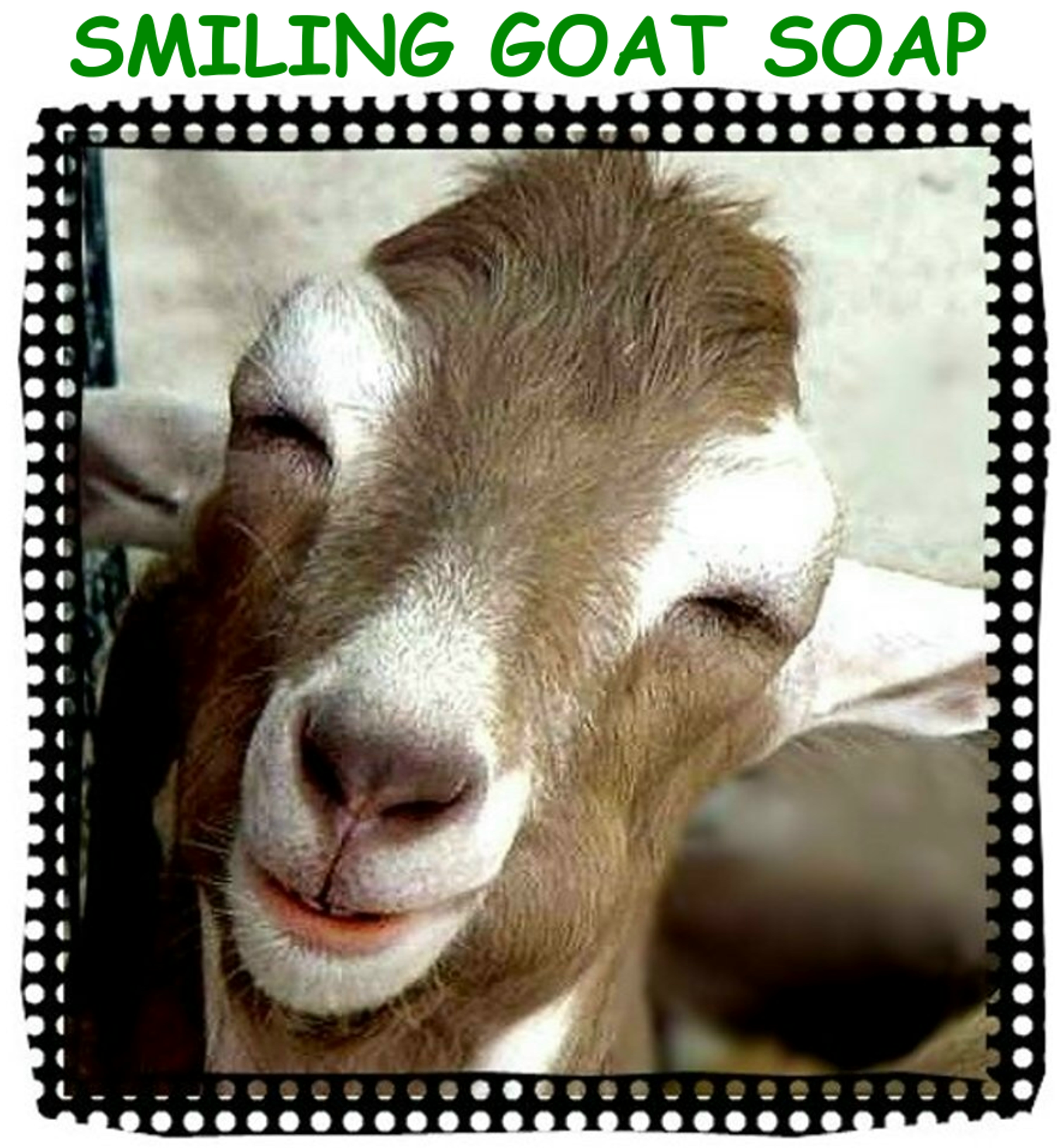 Smiling Goat Soap