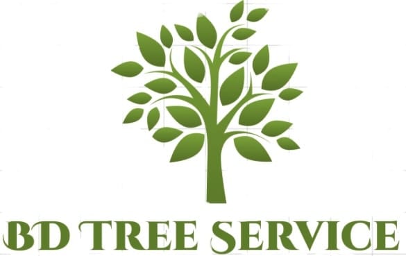 BD Tree Service
