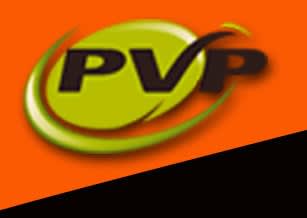 PVP Production
