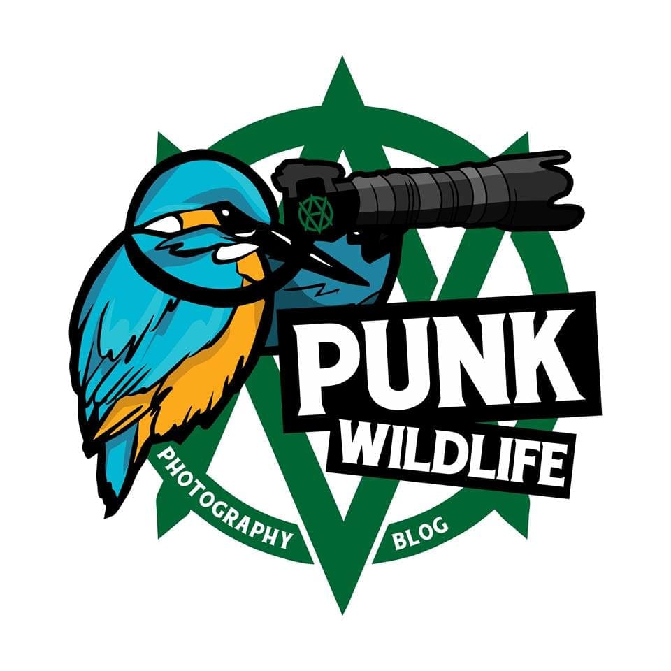 Punk Wildlife