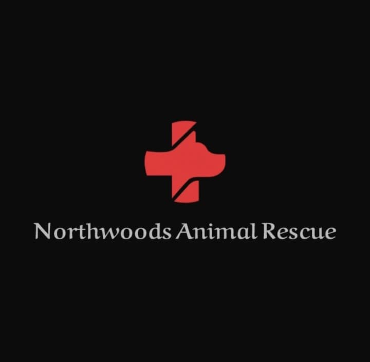 Northwoods Animal Rescue