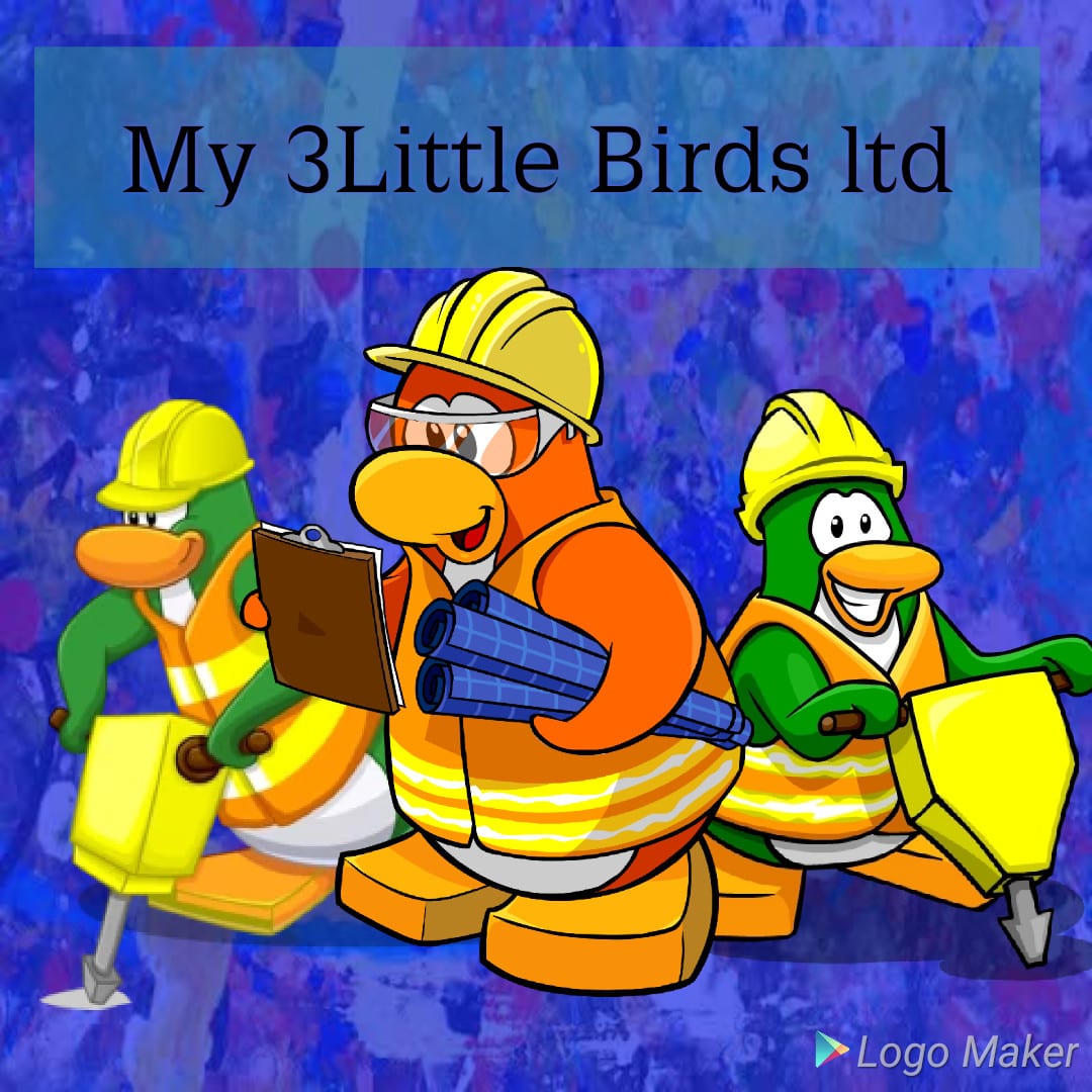 My 3 Little Birds Ltd