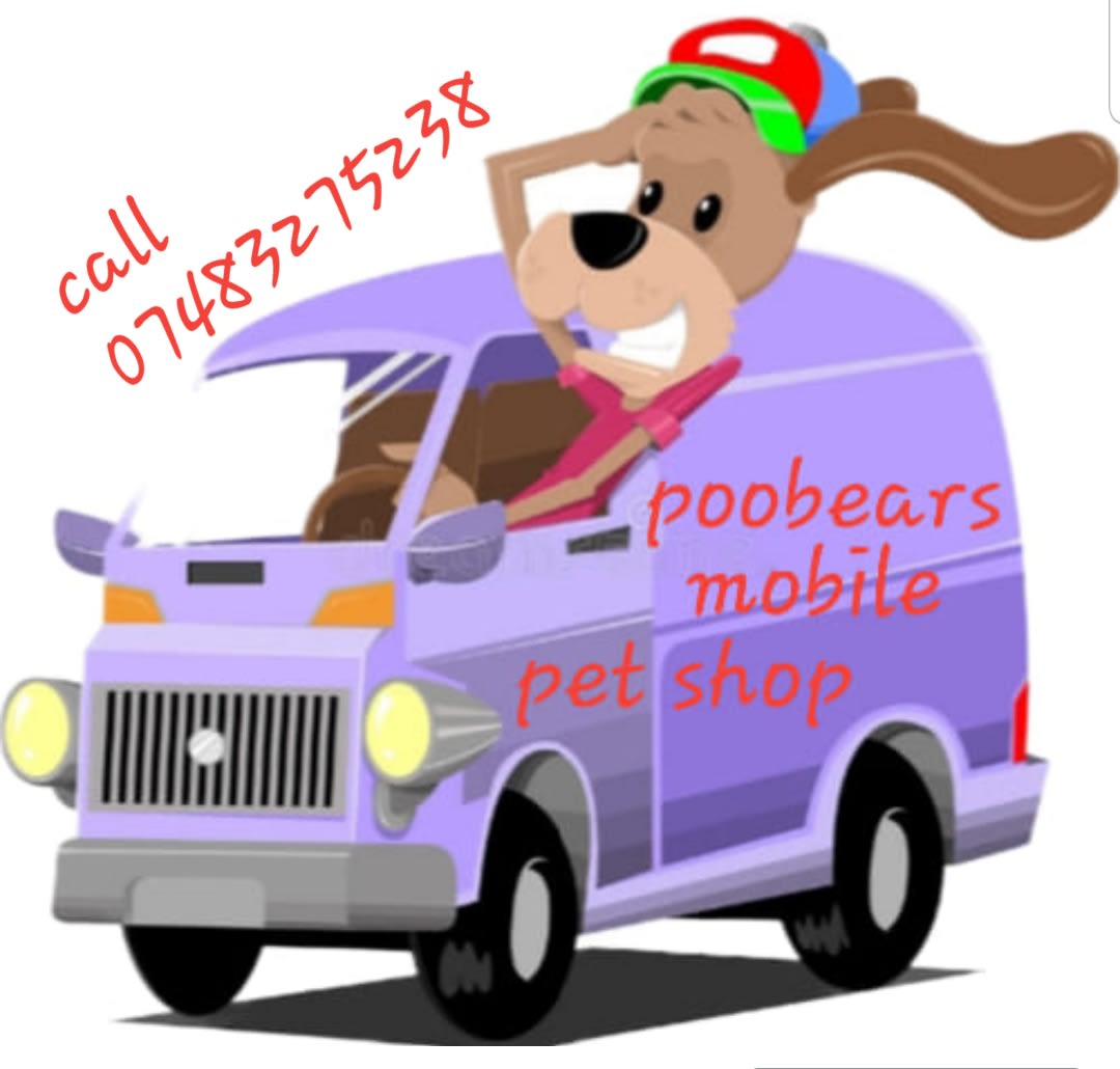 Poobears Pet Shop Pet Store London