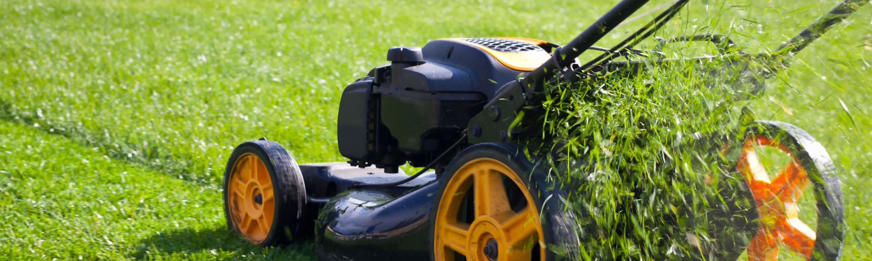 Jack'S Garden Service Gardener Telford