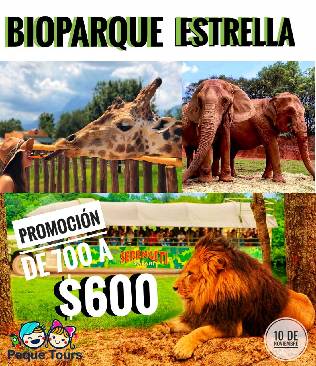 Bioparque estrella - Nuestras excursiones - Peque Tours | Agencia de ...