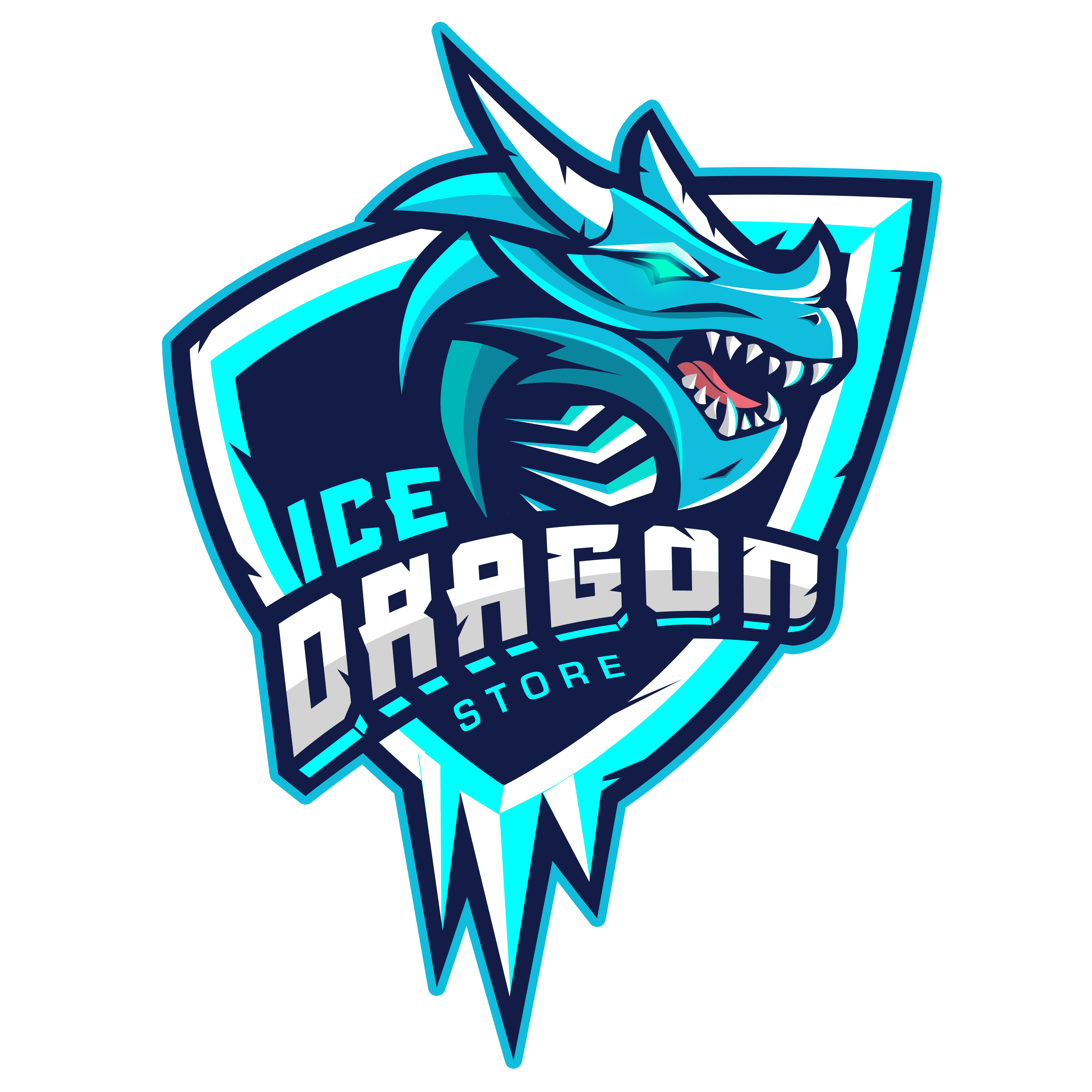 Ice Dragon Gaming Store