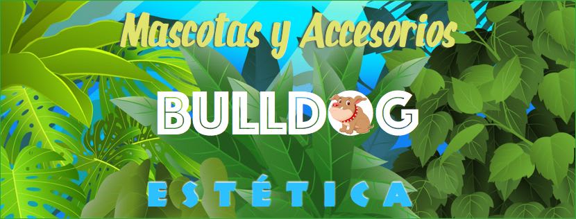 Mascotas & Accesorios Bulldog