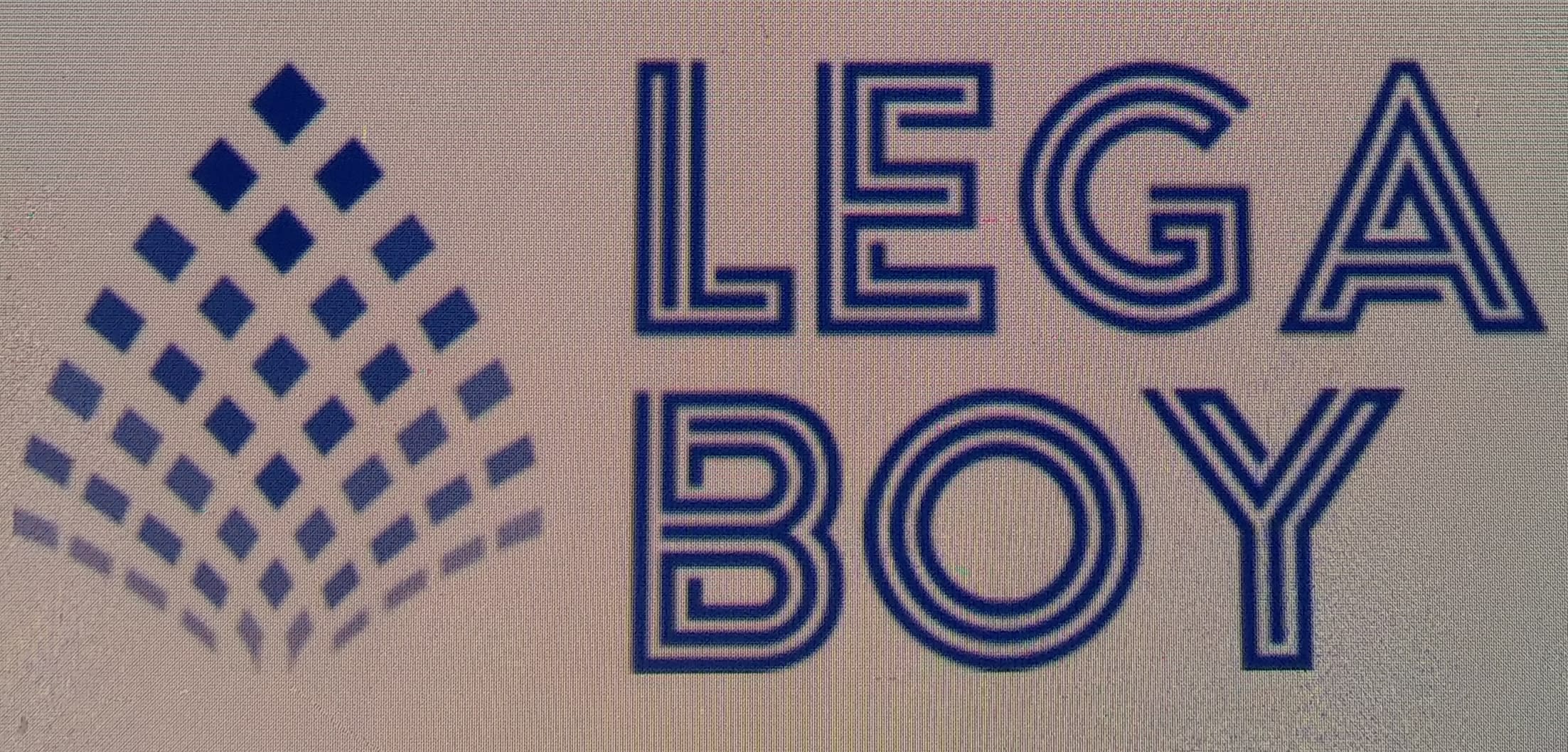 Lega Boy Service