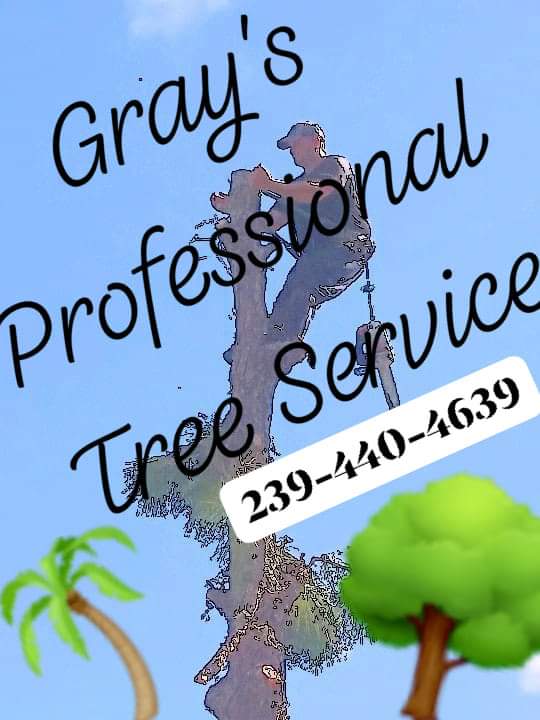 Gray's Professional Tree & Lawn Service