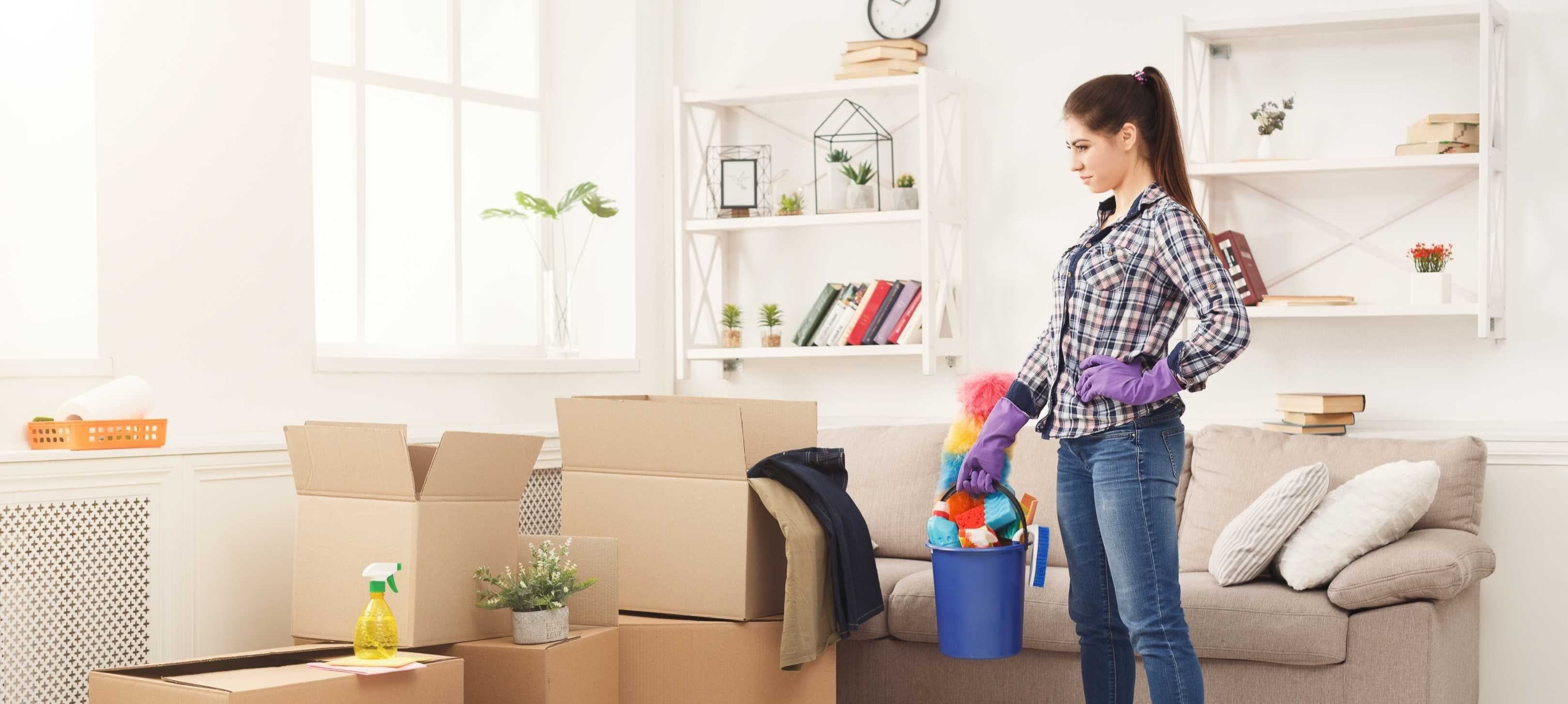 Domestic Cleaner Crystal Clear Cleaning Of Myrtle Beach