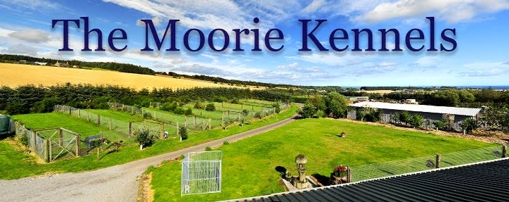 The Moorie Kennels