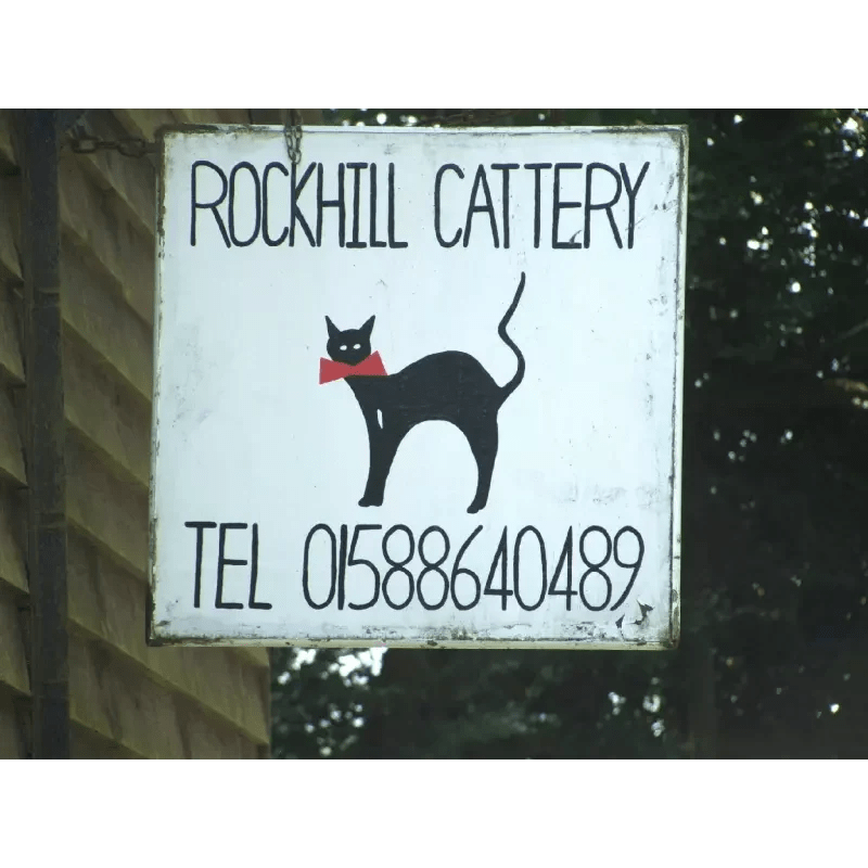 Rockhill Cattery And Kennels