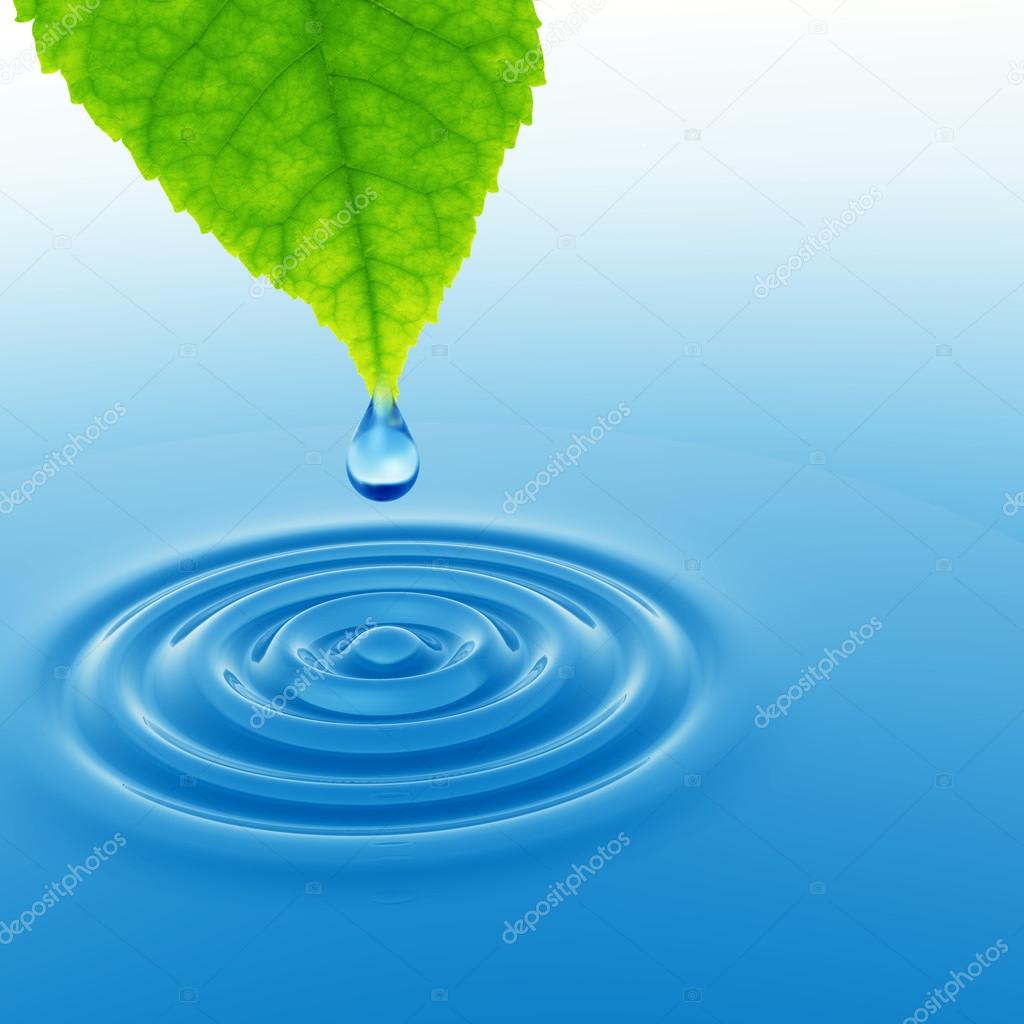 Aqua Environment Service